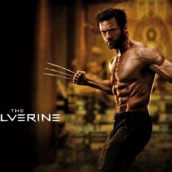 The Wolverine 2013 Movie Wallpapers