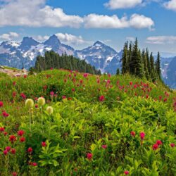 Mount Rainier National Park Wallpapers HD For Desktop Download