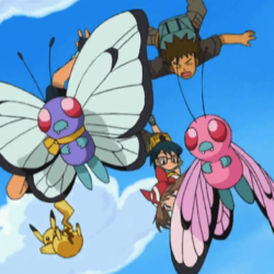 Why Butterfree Is My