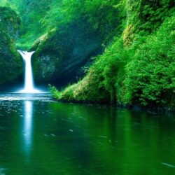 Waterfall forest green full HD nature backgrounds wallpapers for
