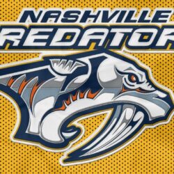 NASHVILLE PREDATORS nhl hockey