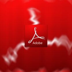 Adobe: when in doubt, personalize – Intelligent Sourcing
