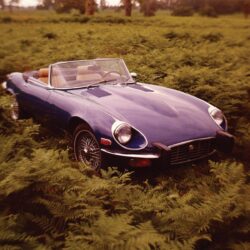 Jaguar e Type Wallpapers 1440×900