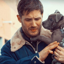 Tom Hardy Wallpapers High Resolution and Quality Download