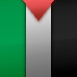 Palestinian flag iphone 6 hd photos