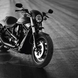 HD Harley Davidson wallpapers – wallpapermonkey