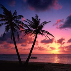 Pink Beach Sunset Wallpapers Hd Backgrounds 9 HD Wallpapers