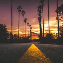 Download wallpapers palms, road, marking, trees, sky
