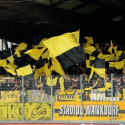 BSC Young Boys Wallpapers 13