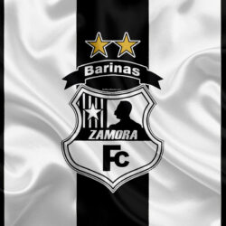 Download wallpapers Zamora FC, 4k, Venezuelan football club, logo
