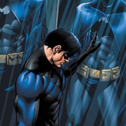 Will We See Dick Grayson In The DCCU? – Fan Fest