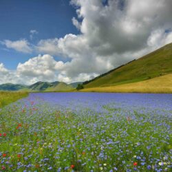 tuscan countryside