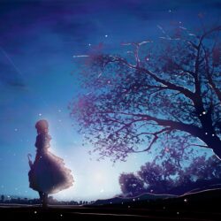 Violet Evergarden 4k, HD Anime, 4k Wallpapers, Image, Backgrounds