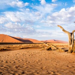 Sossusvlei Namibia Desert 4K Wallpapers / Desktop Backgrounds