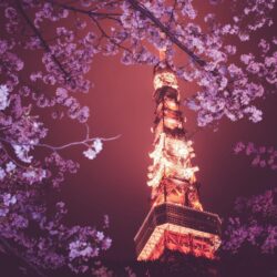 Tokyo Tower HD Wallpapers wallpapers