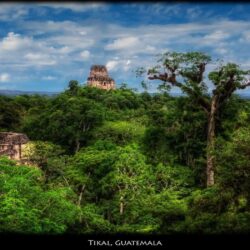 Tikal, Guatemala wallpapers