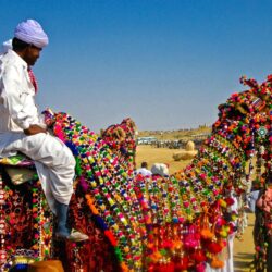 Jaisalmer Desert Festival by Rajasthan Tourism Development Corporation