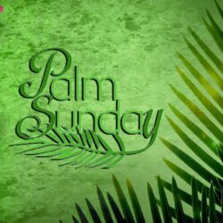 Palm Sunday Image 2017