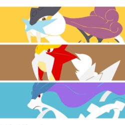 Raikou, Entei, Suicune, Pokémon HD Wallpapers / Desktop and Mobile
