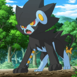 Clemont’s Luxray