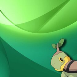 Turtwig wallpapers by AlexenW