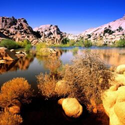 Nature: Technicolor Terrain Joshua Tree National Park, California