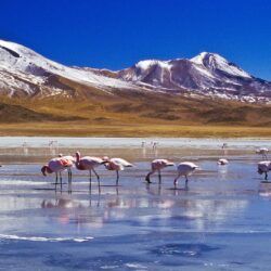 The Salar de Uyuni salt flats in Bolivia HD Wallpapers