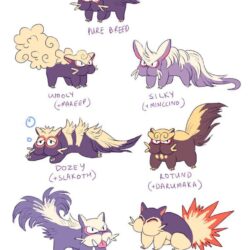 stunky crossbreeds by kunipup