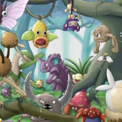 Pokemon Super Mystery Dungeon Wallpapers