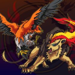 Talonflame and Pyroar by Belldia