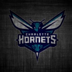 SOZ 49 Charlotte Hornets Wallpapers, Charlotte Hornets Full HD