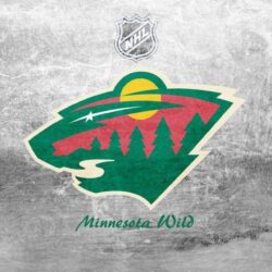 Minnesota Wild by W00den