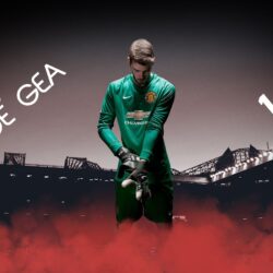 David de Gea Manchester United Goalkeeper Photo for Wallpapers