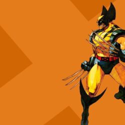 The Wolverine Wallpapers Comic HD Wallpapers Pictures