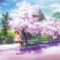 Wallpapers : , anime girls, Clannad, Furukawa Nagisa