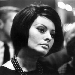 Sophia Loren Celebrities