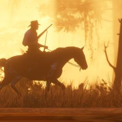 Red Dead Redemption 2 review: “When the credits roll, you’ll have