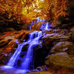 Waterfalls: AUTUMN FALLS Dark Hollow River Stream Virginia USA