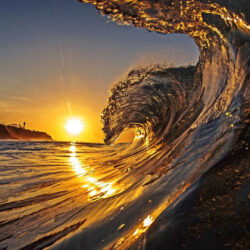 Wave in the sunset beach wallpapers