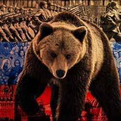 Wallpapers Bear, Symbol, Flag, Russia HD, Picture, Image