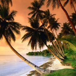 Beach: BLUE LAGOON RESORT BEACH Nature Beaches Micronesia
