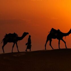 Jaisalmer Camel Safari: A Travelers Guide