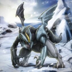Kyurem Wallpapers, 48 Kyurem HD Wallpapers/Backgrounds, T4.Themes
