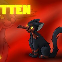 Digital = Litten Wallpapers by treecko