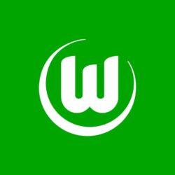 Vfl Wolfsburg Logo HD