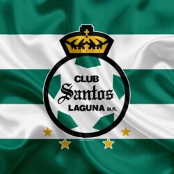 Download wallpapers Santos Laguna FC, 4k, Mexican Football Club