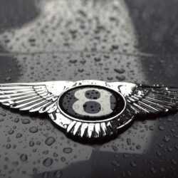 Bentley Logo Wallpapers, Pictures, Image