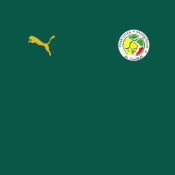 Senegal away