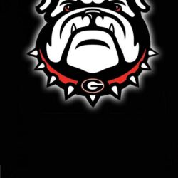 54+ Ga Bulldogs Wallpapers