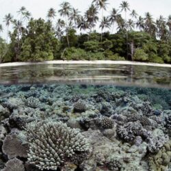 Solomon Tag wallpapers: Nature Islands Beach White Solomon Ocean